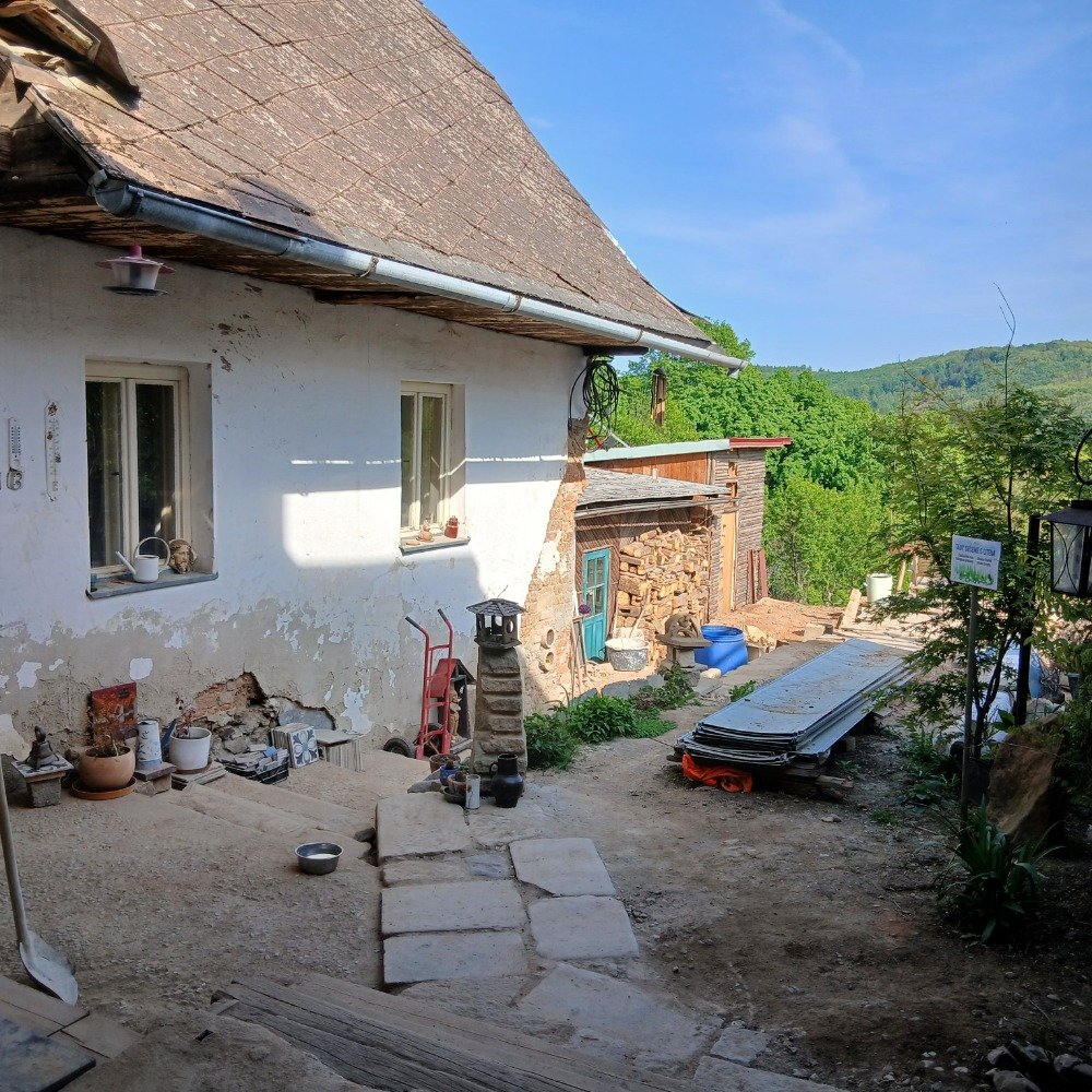 Foto 10