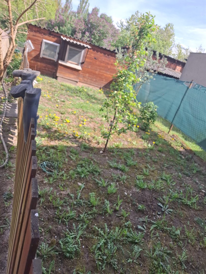 Foto 15