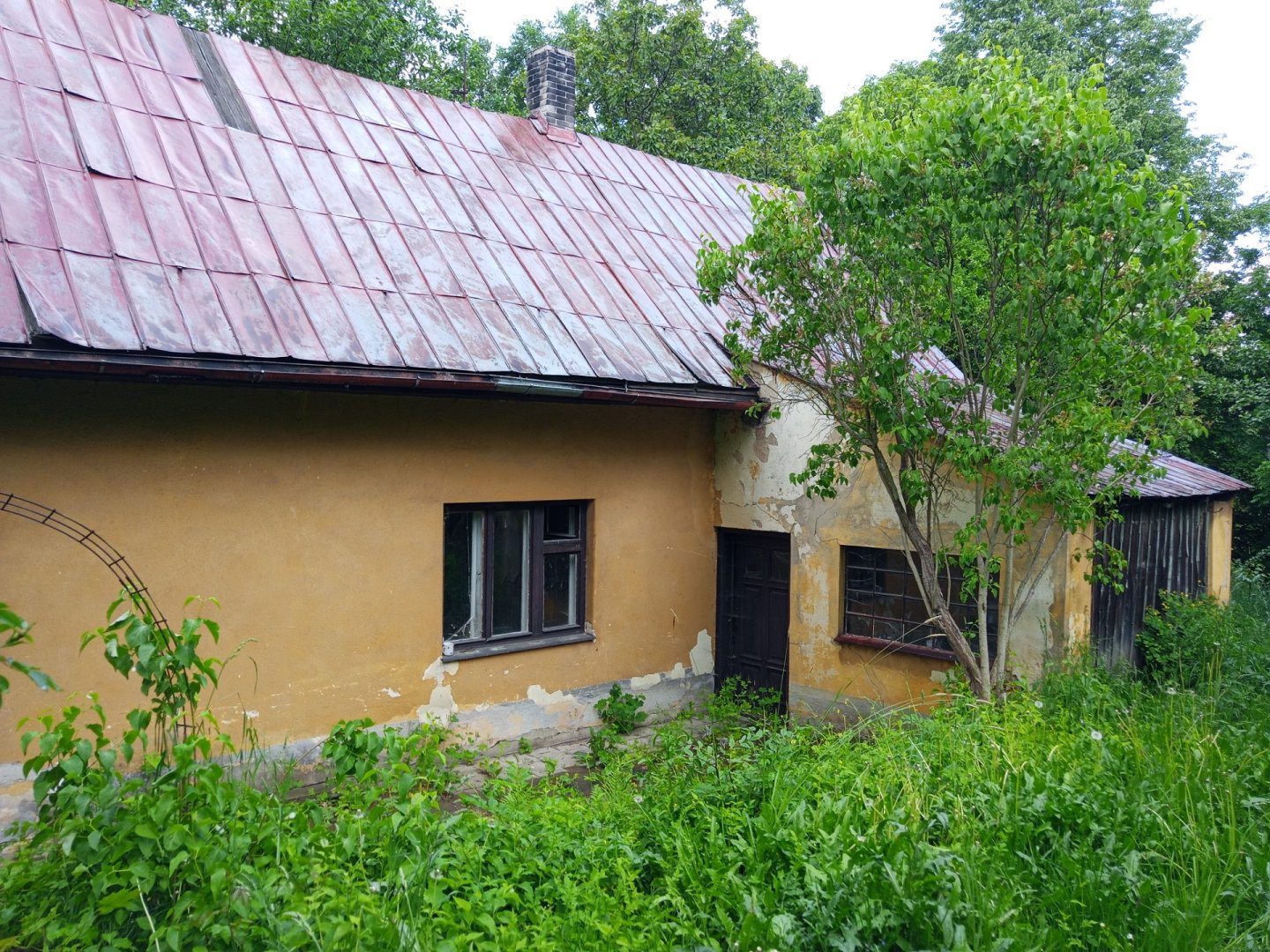 Foto 12