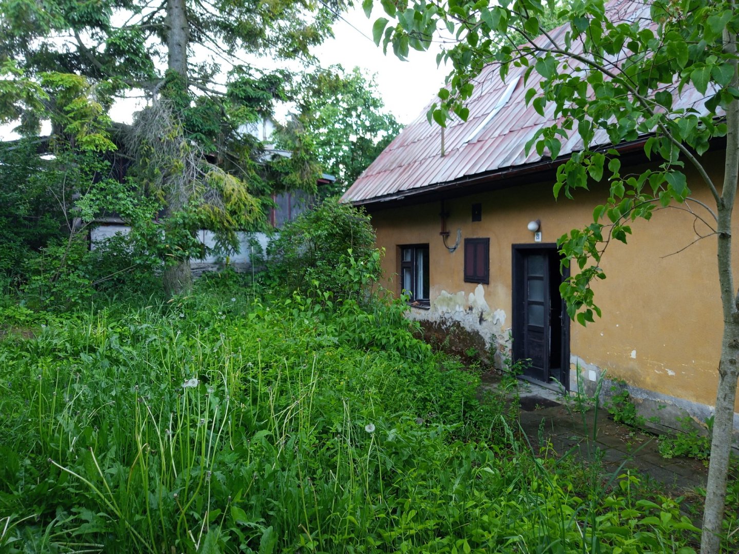 Foto 14