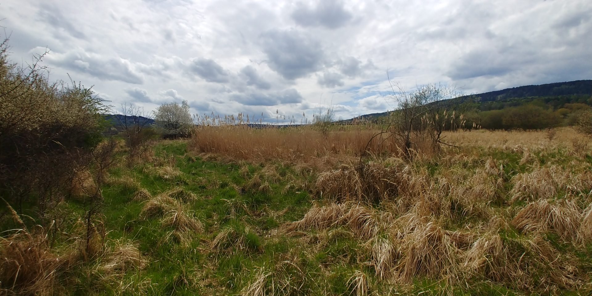 Foto 1