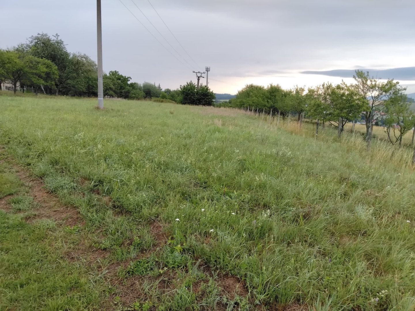 Prodej stavebního pozemku se zahradou-Slavičín — foto 8