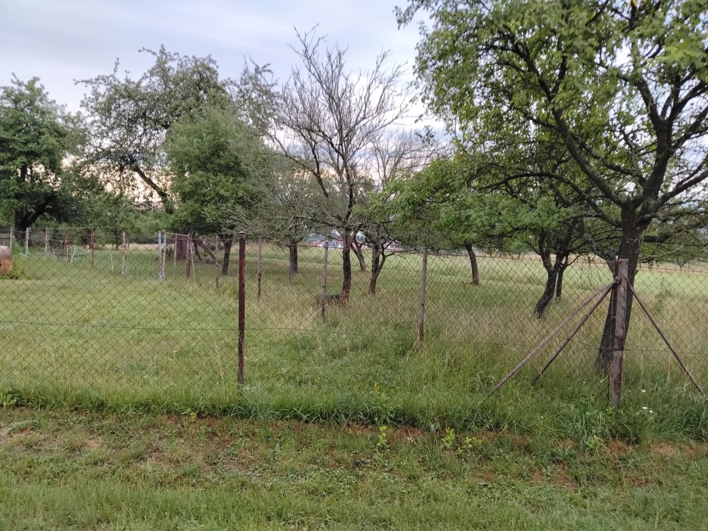 Prodej stavebního pozemku se zahradou-Slavičín — foto 9