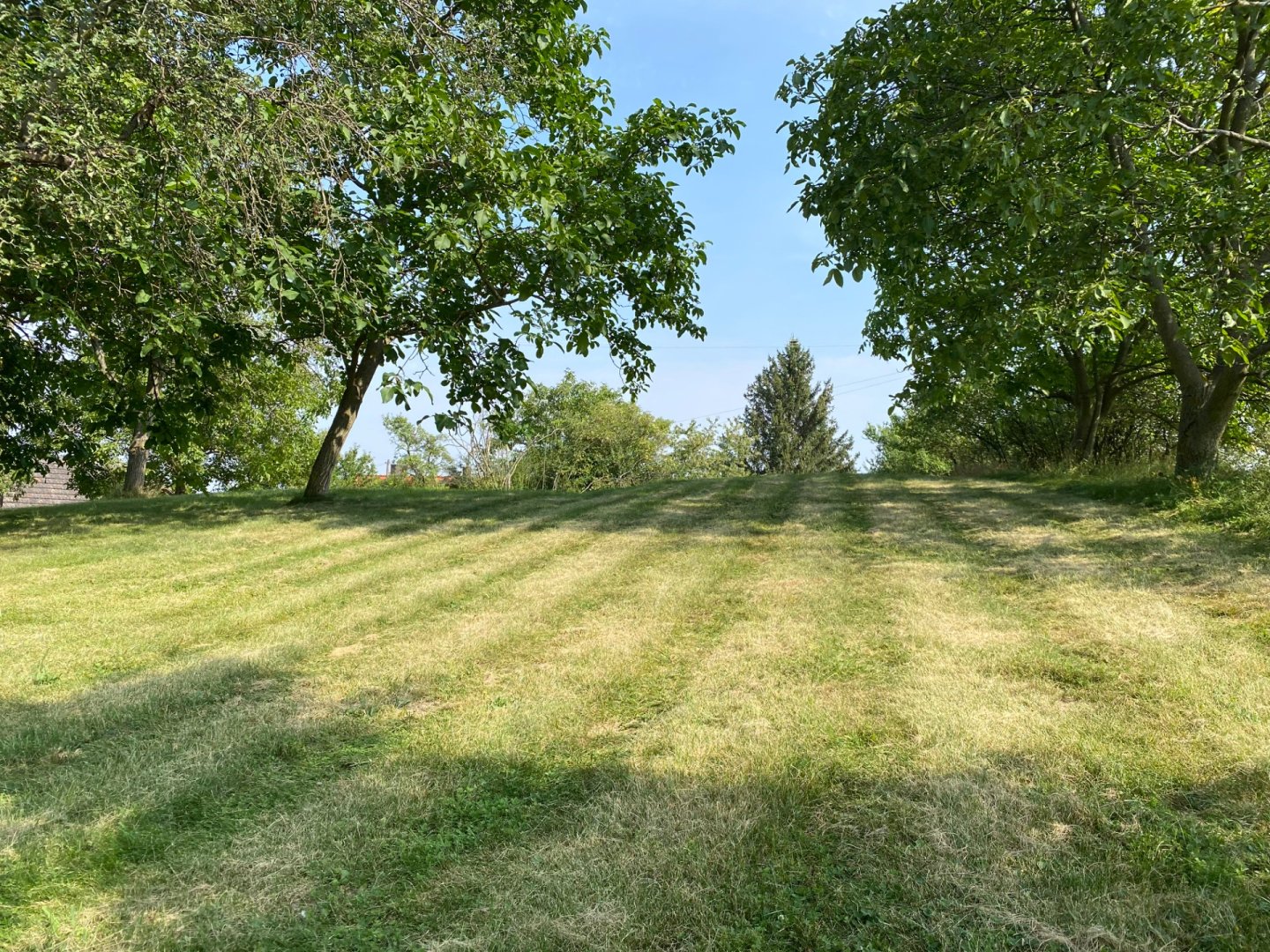 Klidný pozemek 3 359 m² na polosamotě u Petrovic — foto 3