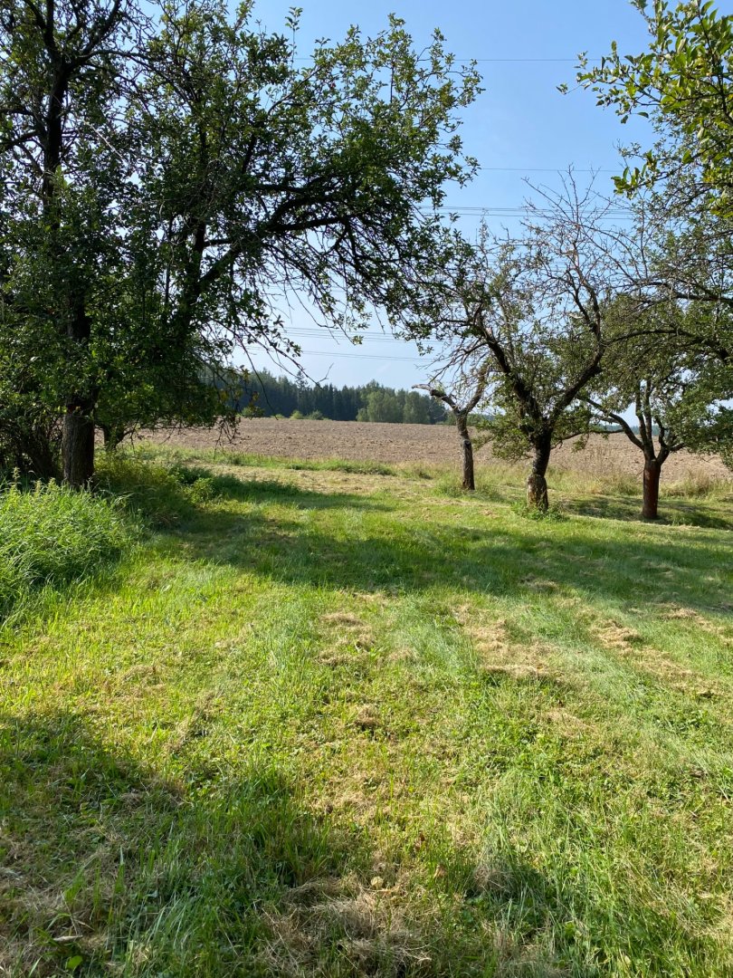 Klidný pozemek 3 359 m² na polosamotě u Petrovic — foto 4