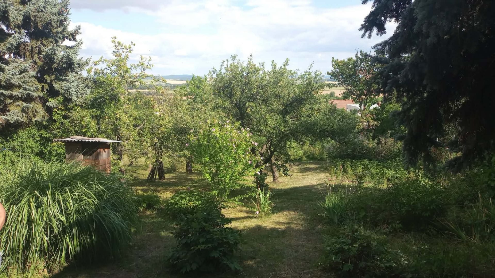 Stavební pozemek s výbornou dostupností do Brna a Vyškova — foto 3