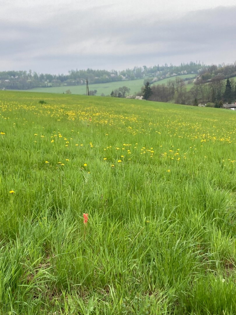 Stavební parcela v obci Čaková — foto 5