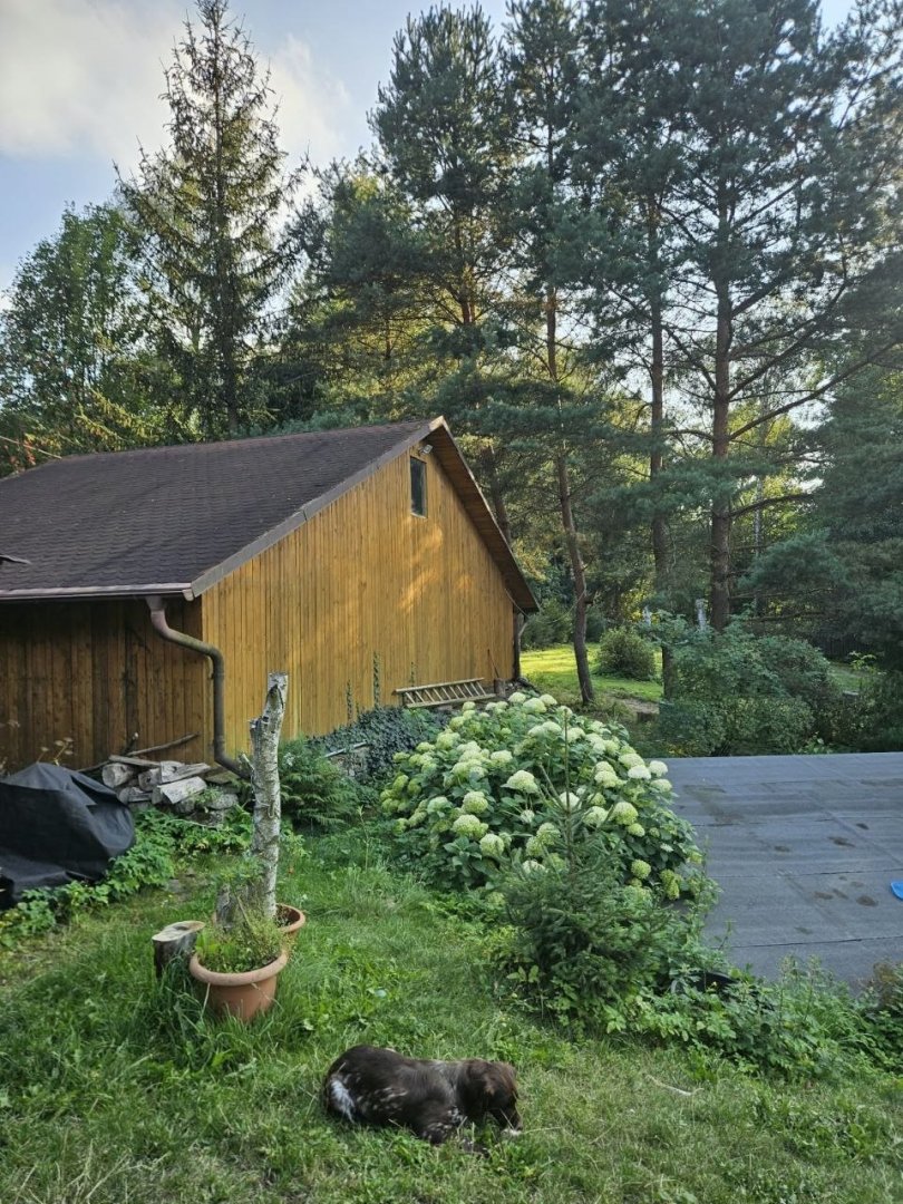 Prodej domu 140 m² s pozemkem 5000 m², bazén, garáž – 12 km od K. Varů — foto 3