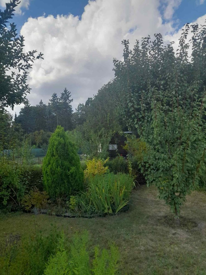 Prodám zahradu v Lounech — foto 4