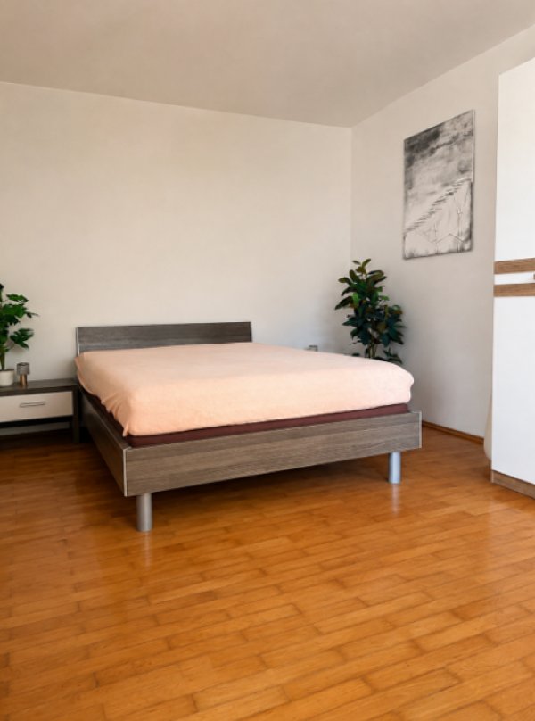 Zemědělská usedlost 8 091 m² součástí 2 811 m² pozemek pro bydlení — foto 10