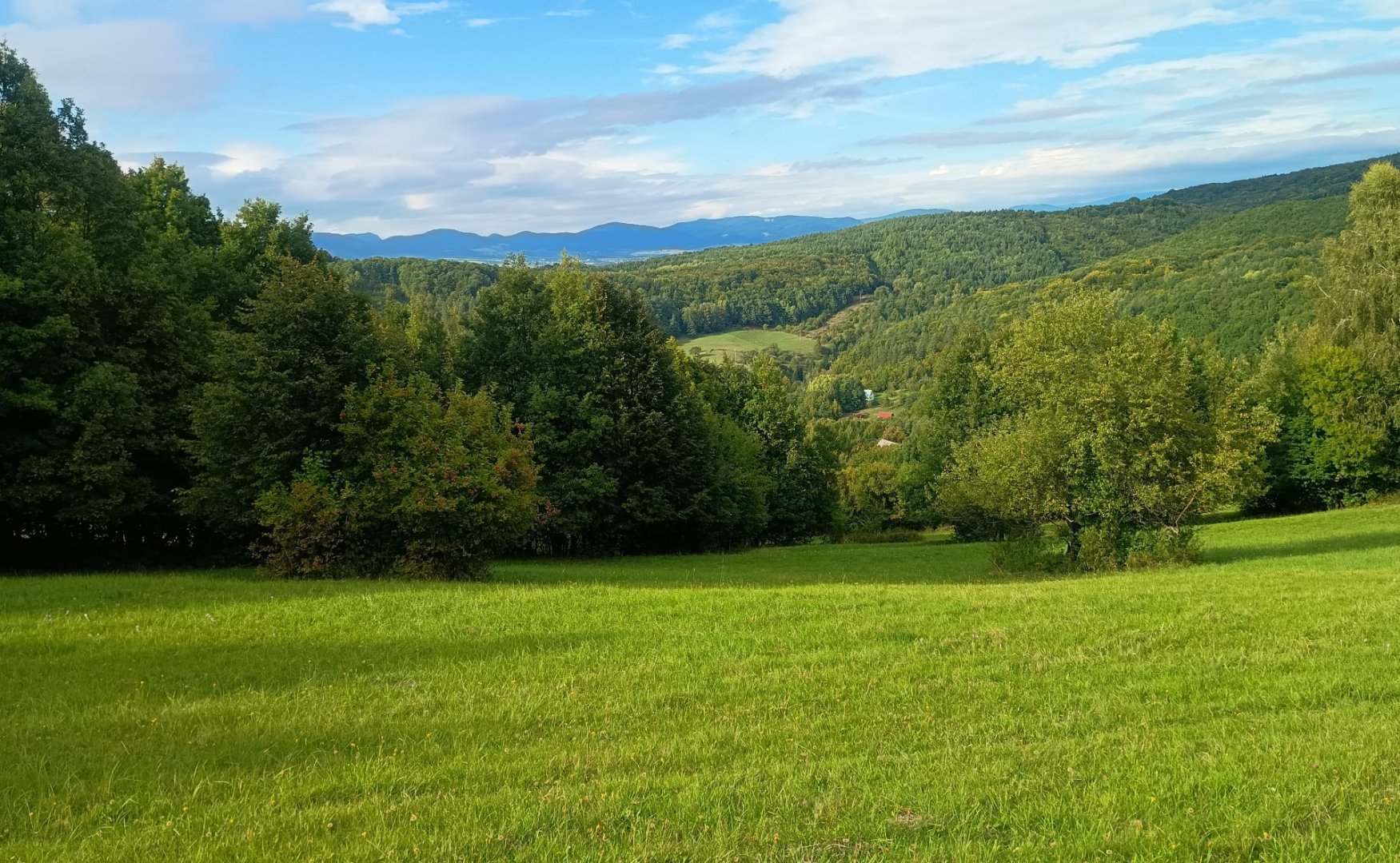 Predaj pozemku — foto 2
