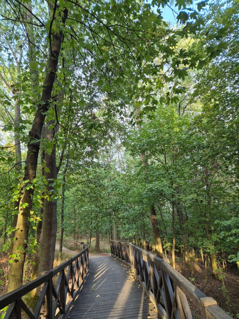 Prodej nového bytu 3+kk, 80,8 m², parkovací stání a sklep, centrum Dobřan — foto 7