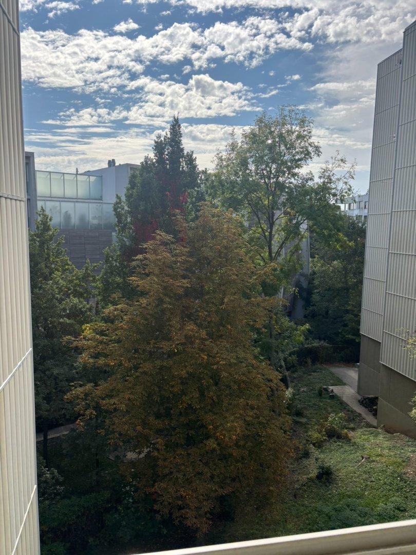 Prodej bytu 3+1 (72,2 m²) s lodžií a sklepem na Hřebenkách  — foto 7