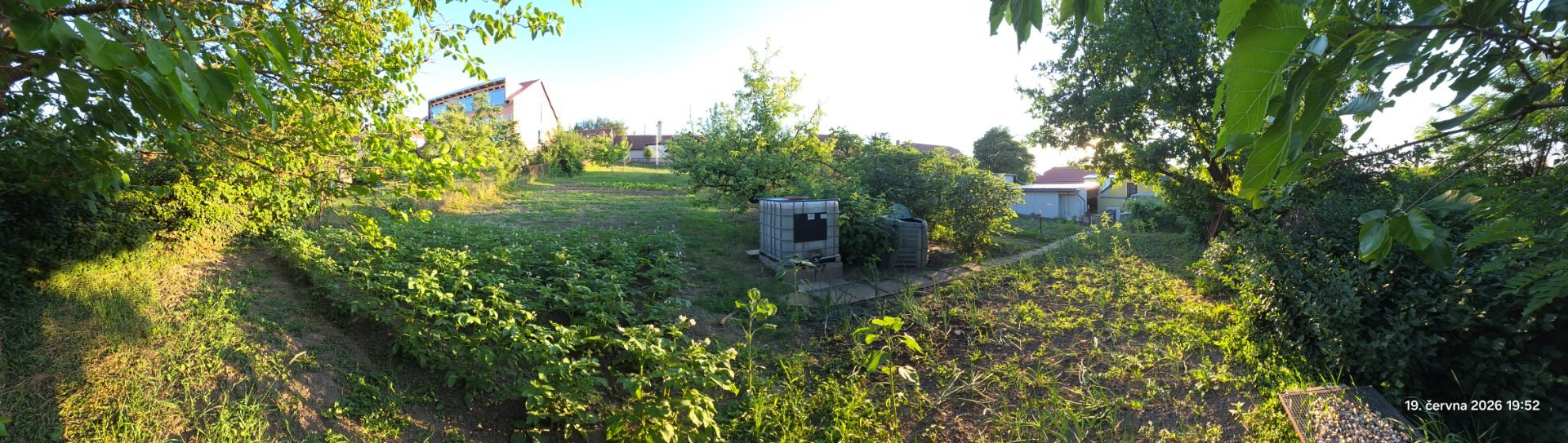 Stavební pozemek - Borkovany (Dříve zahrada) - 799m² — foto 5