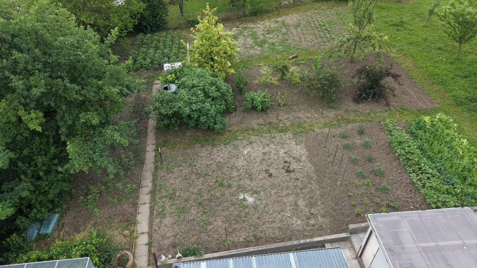 Stavební pozemek - Borkovany (Dříve zahrada) - 799m² — foto 8