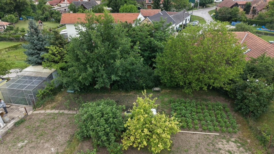 Stavební pozemek - Borkovany (Dříve zahrada) - 799m² — foto 11