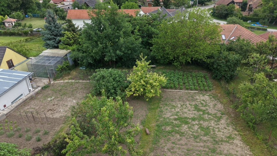Stavební pozemek - Borkovany (Dříve zahrada) - 799m² — foto 12