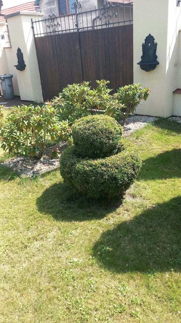 Prodej domu v Třebovli, pozemek 709 m², zastavěná plocha 156 m² — foto 5