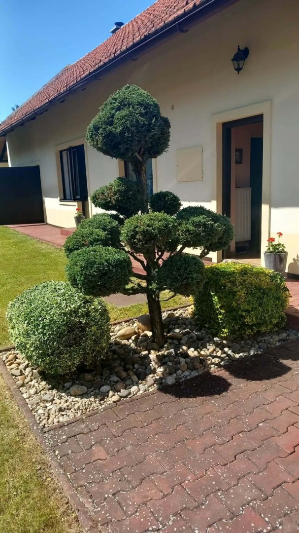Prodej domu v Třebovli, pozemek 709 m², zastavěná plocha 156 m² — foto 15