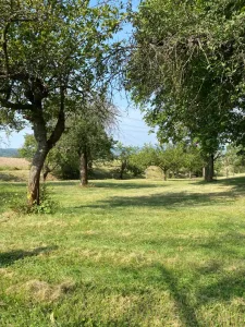 Klidný pozemek 3 359 m² na polosamotě u Petrovic