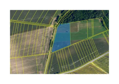 Prodám pozemek - ornou půdu 12906 m2 v k.ú. Alexovice bez realitky