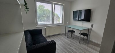1,5-izbový byt na prenájom s pivnicou, prerobený – Pri Kaštieli, Dubnica nad Váhom